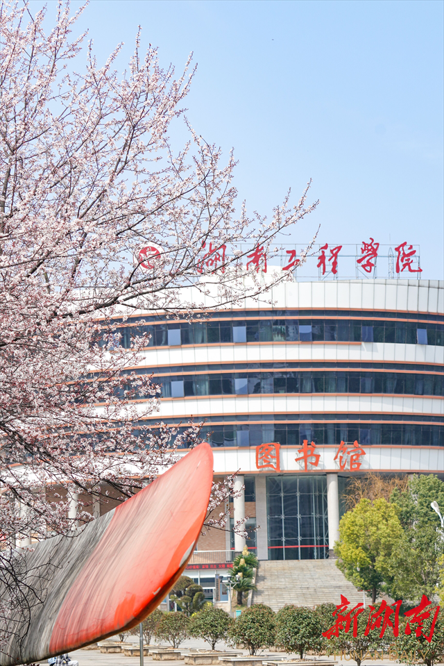 Beat365唯一官方网站紫叶李花开惹人醉