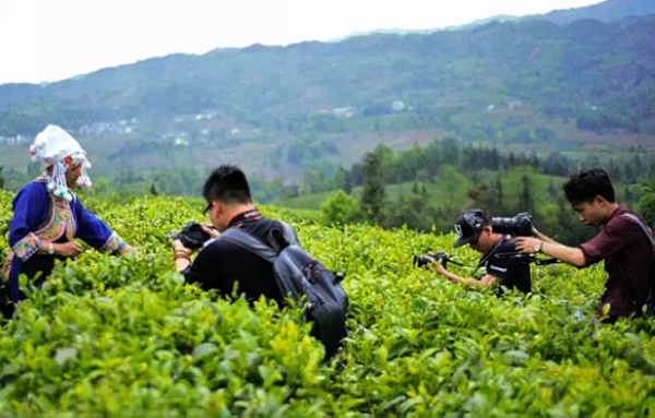 1462527201865021574.jpg 1462527201865021574.jpg