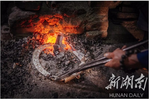 1521604319625053930.jpg 2.jpg