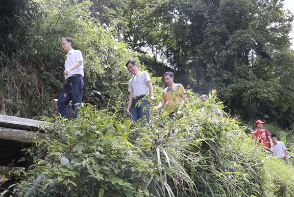 1500880263767028679.jpg _MG_7775_副本.jpg