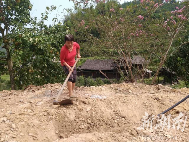 1502633633368004094.jpg 1502633633368004094.jpg