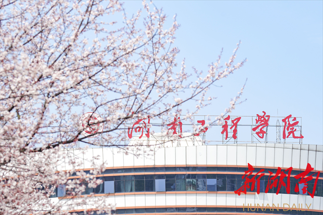 Beat365唯一官方网站紫叶李花开惹人醉