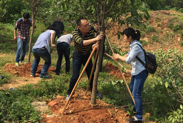 1492162034286003825.jpg QQ图片20170414171750_副本.jpg